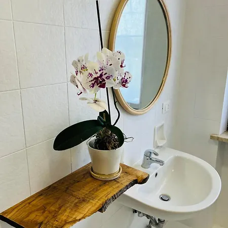 Palago 11 Peschiera del Garda