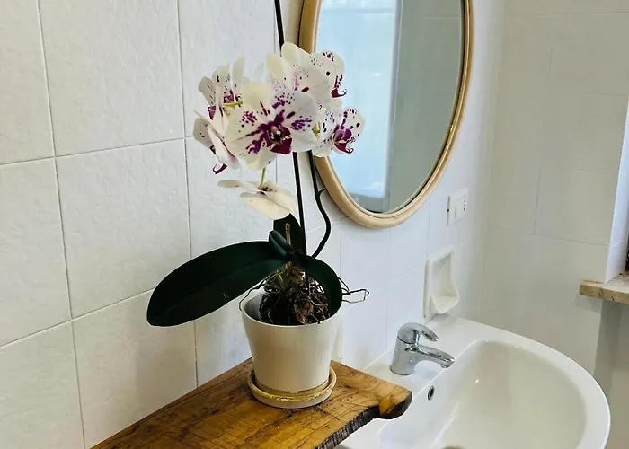 Palago 11 Peschiera del Garda